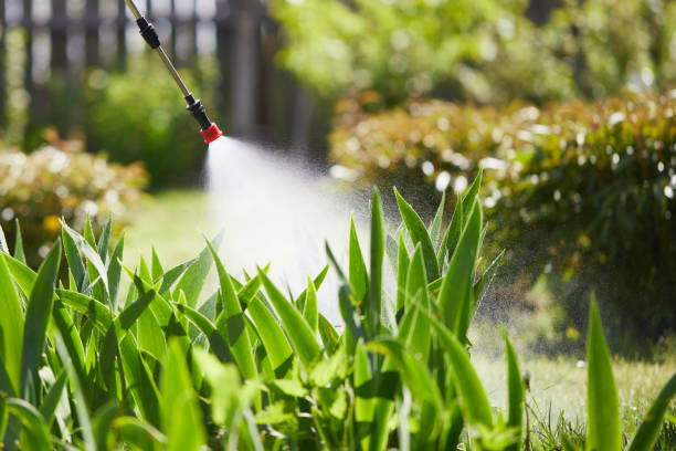 24/7 Emergency Mosquito Control experts in Bartlesville, OK
